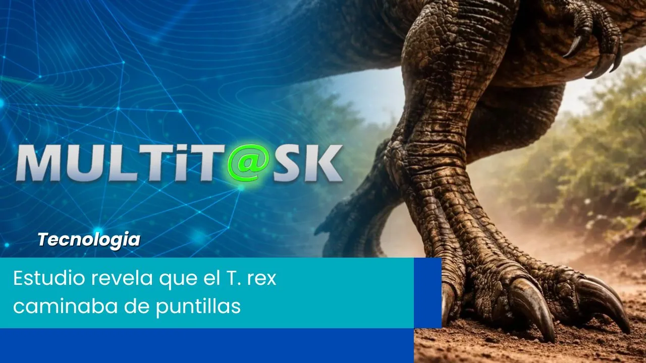 Lee más sobre el artículo Estudio revela que el T. rex caminaba de puntillas