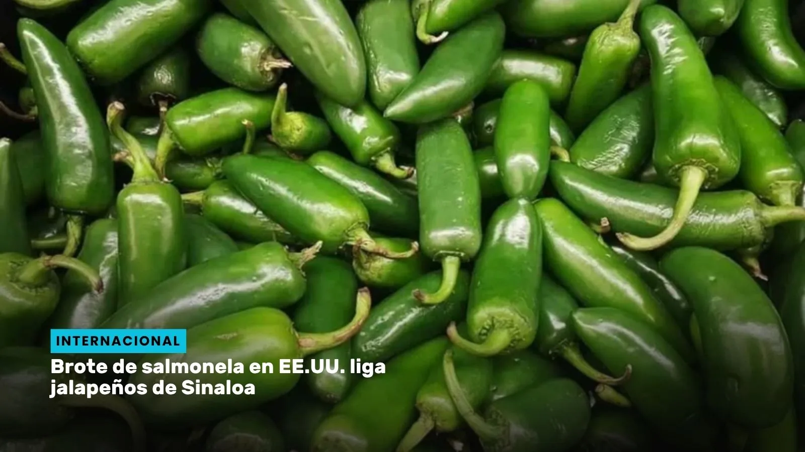 Lee más sobre el artículo Brote de salmonela en EE.UU. liga jalapeños de Sinaloa