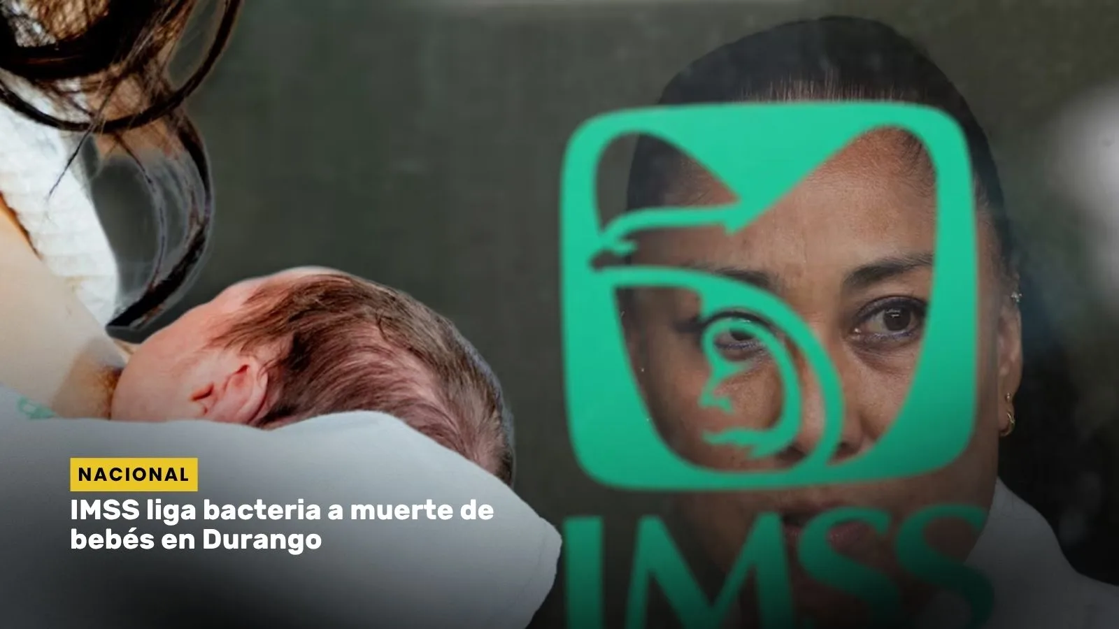 Lee más sobre el artículo IMSS liga bacteria a muerte de bebés en Durango