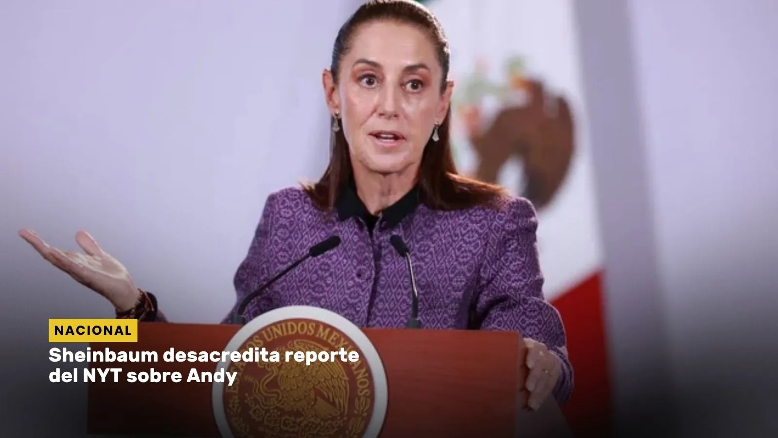 Lee más sobre el artículo Sheinbaum desacredita reporte del NYT sobre Andy