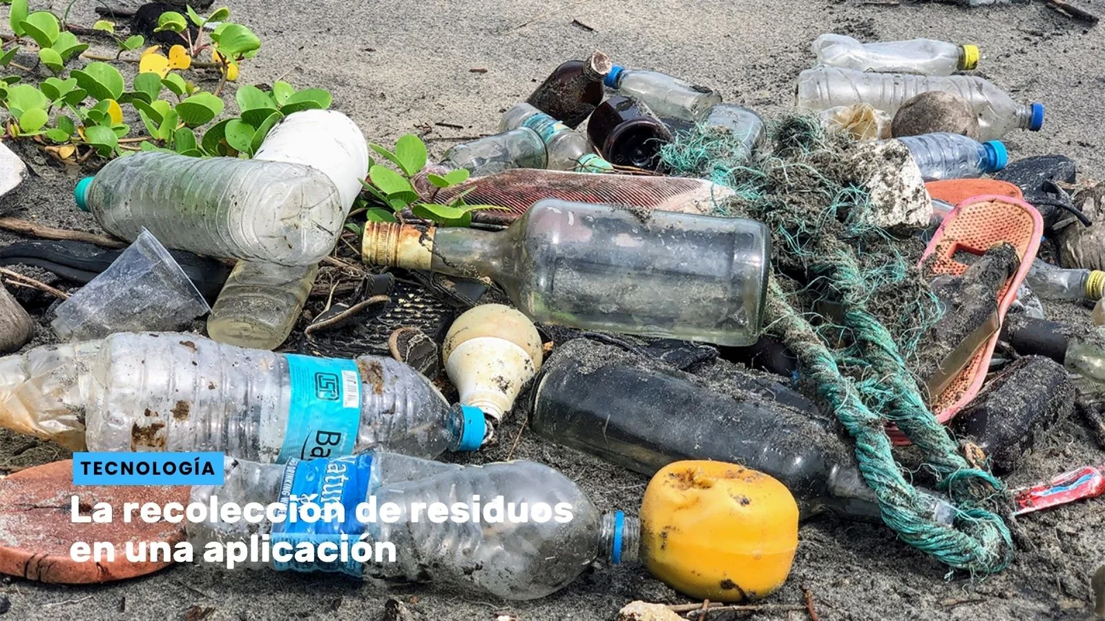 Lee más sobre el artículo La recolección de residuos en una aplicación