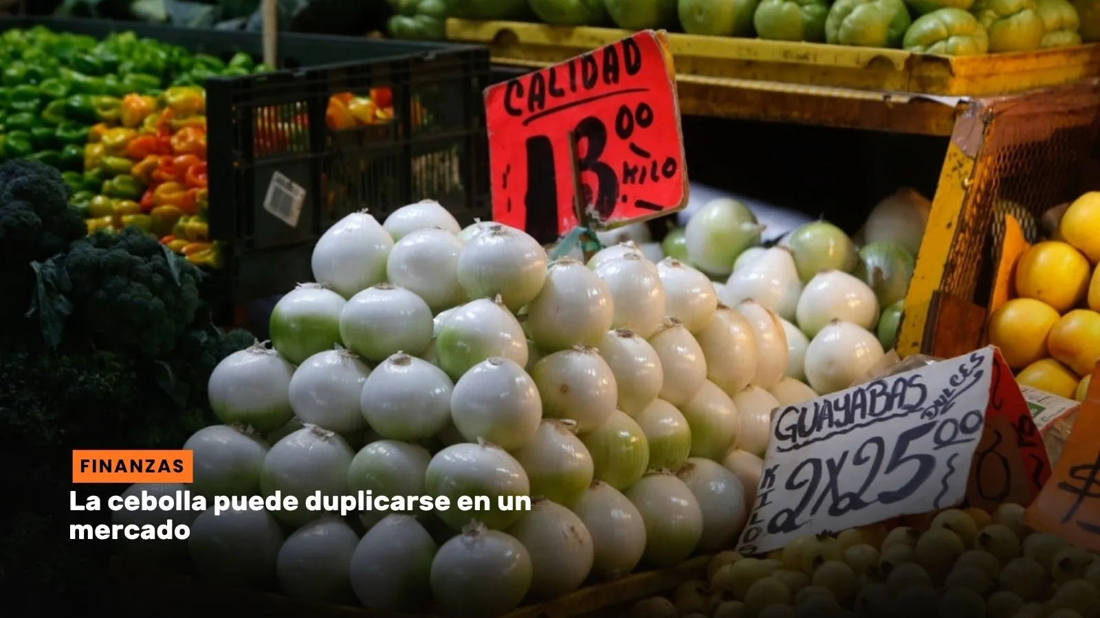 Lee más sobre el artículo La cebolla puede duplicarse en un mercado